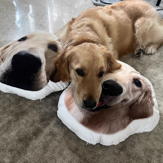 Custom Dog Shaped Pillow