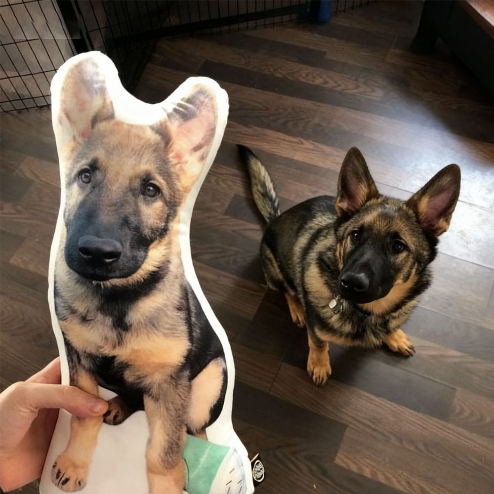 Custom Dog Shaped Memorial Pillow for Pet Owners from Pet Picture