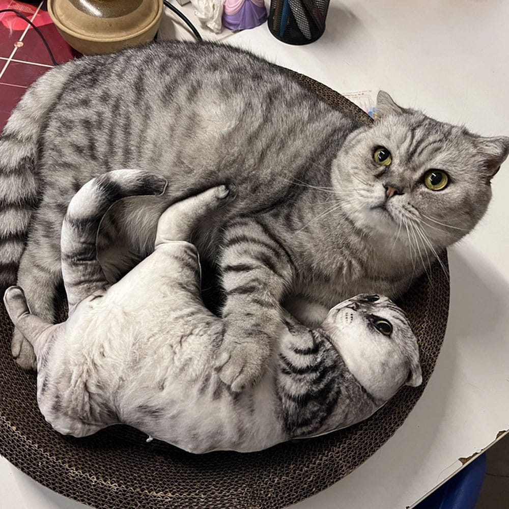 Custom Ugly Pet Pillow From Photo
