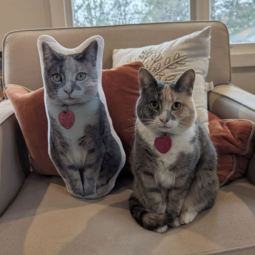 Custom Cat Shaped Pillow
