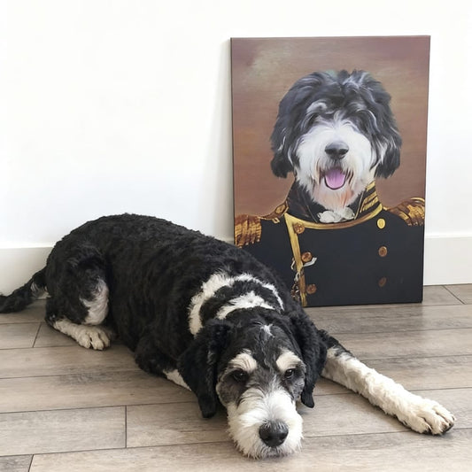 The Admiral - Custom Renaissance Pet Portrait