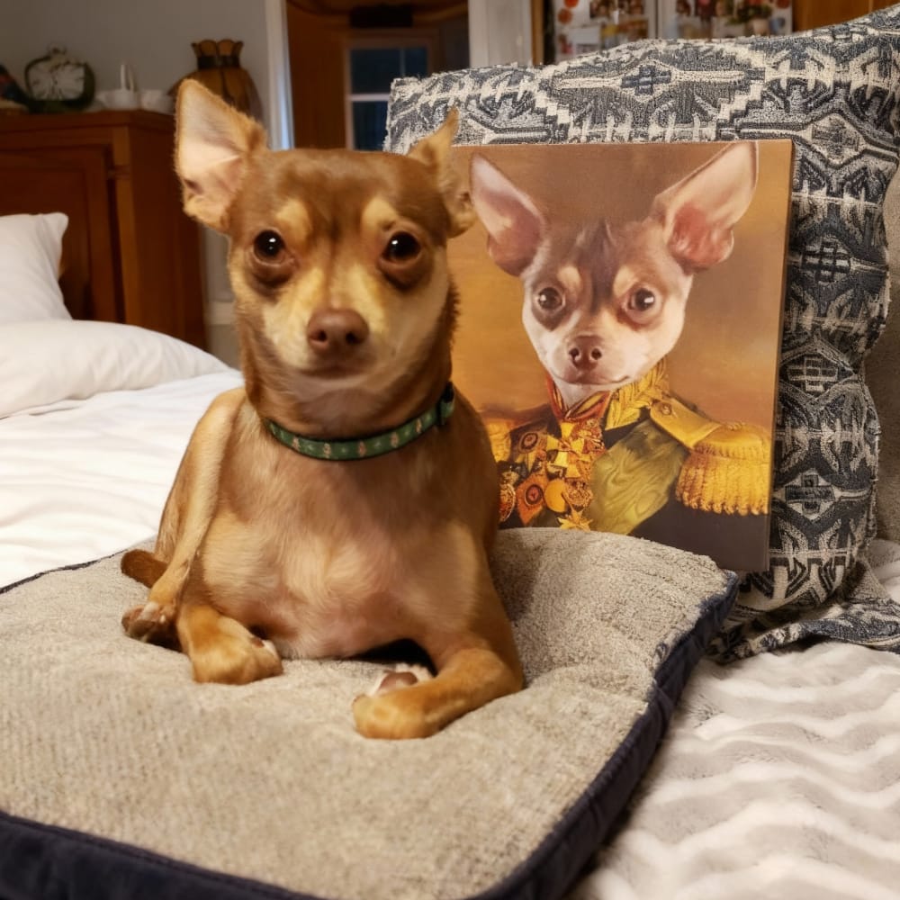 The Colonel - Custom Renaissance Pet Portrait