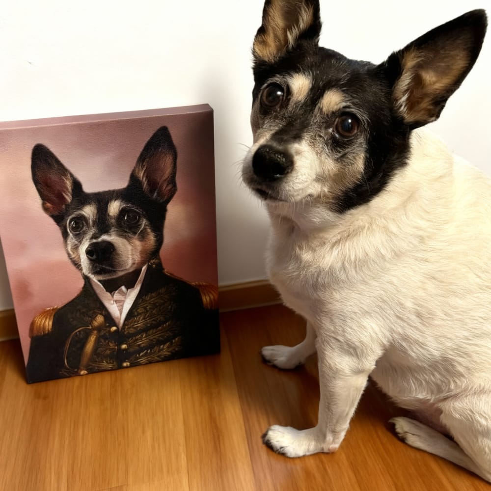The General - Custom Renaissance Pet Portrait