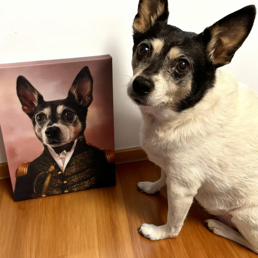 The General - Custom Renaissance Pet Portrait