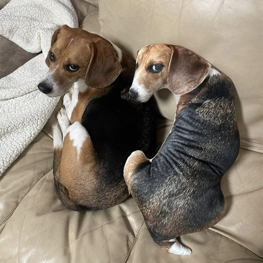 Custom Ugly Pet Pillow From Photo