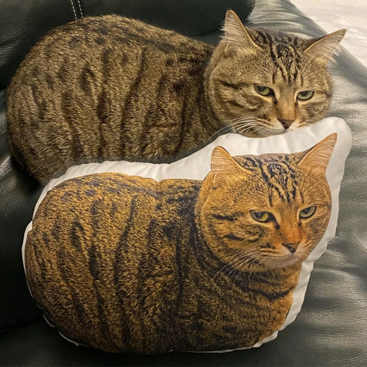 Custom Cat Shaped Memorial Pillow for Pet Owners from Pet Picture