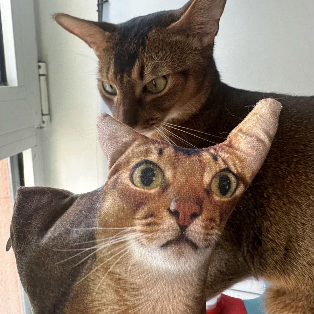 Custom Ugly Pet Pillow From Photo