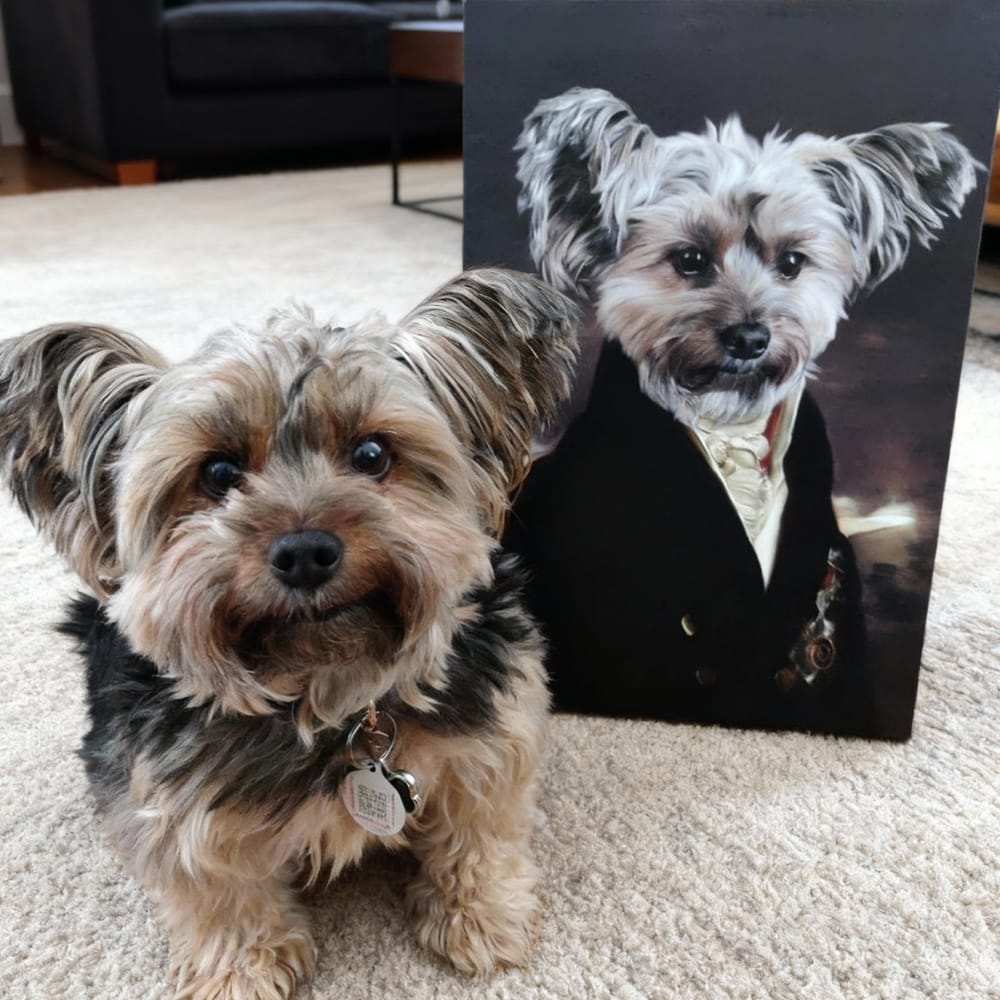 The Count - Custom Renaissance Pet Portrait