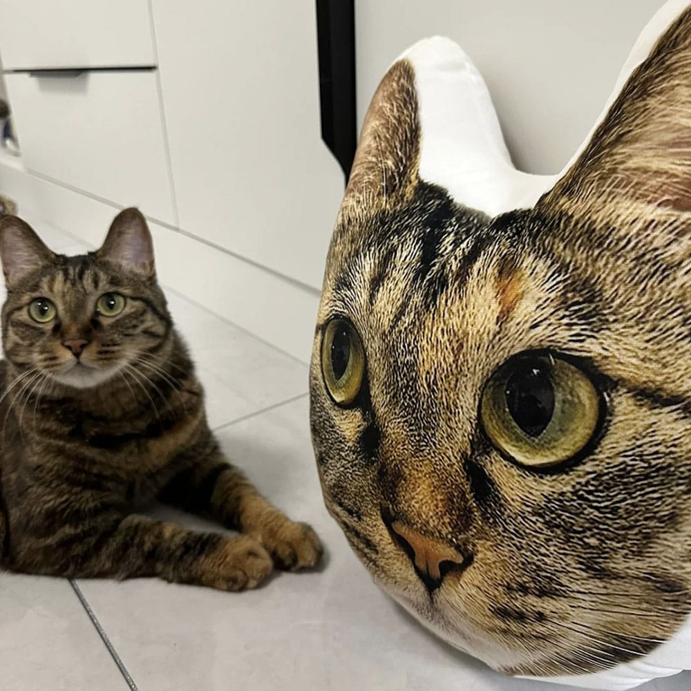 Custom Cat Shaped Pillow