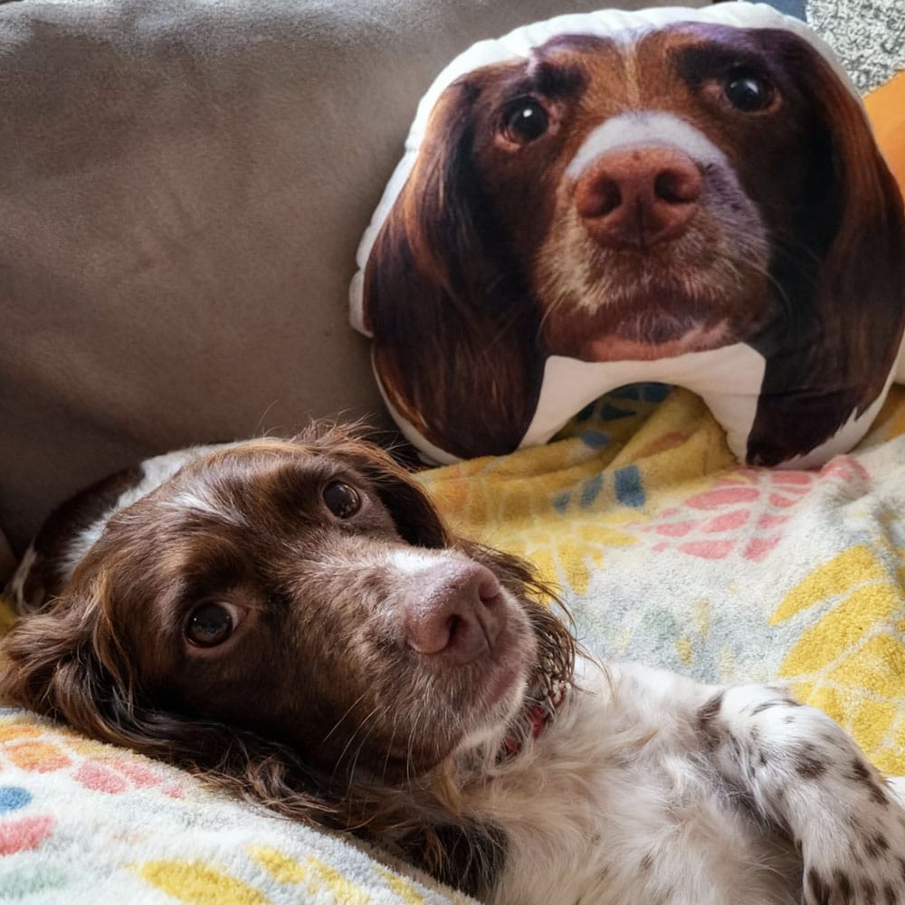 Custom Dog Shaped Pillow