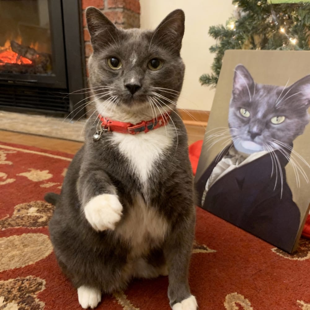 The Ambassador - Custom Renaissance Pet Portrait