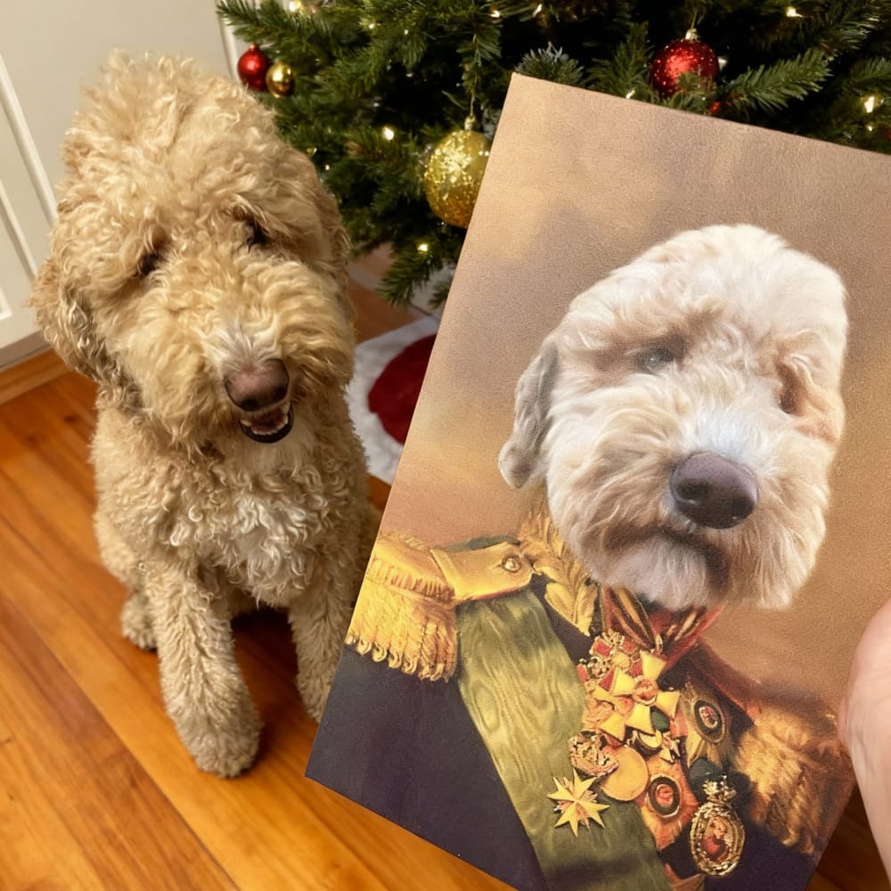 The Colonel - Custom Renaissance Pet Portrait