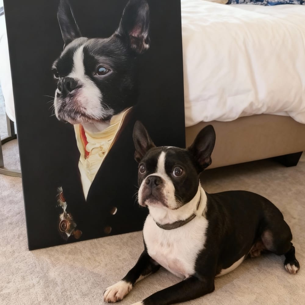 The Count - Custom Renaissance Pet Portrait