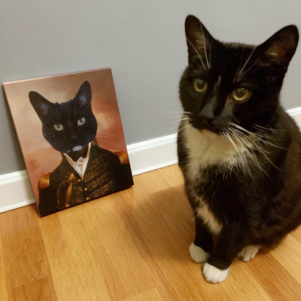 The General - Custom Renaissance Pet Portrait