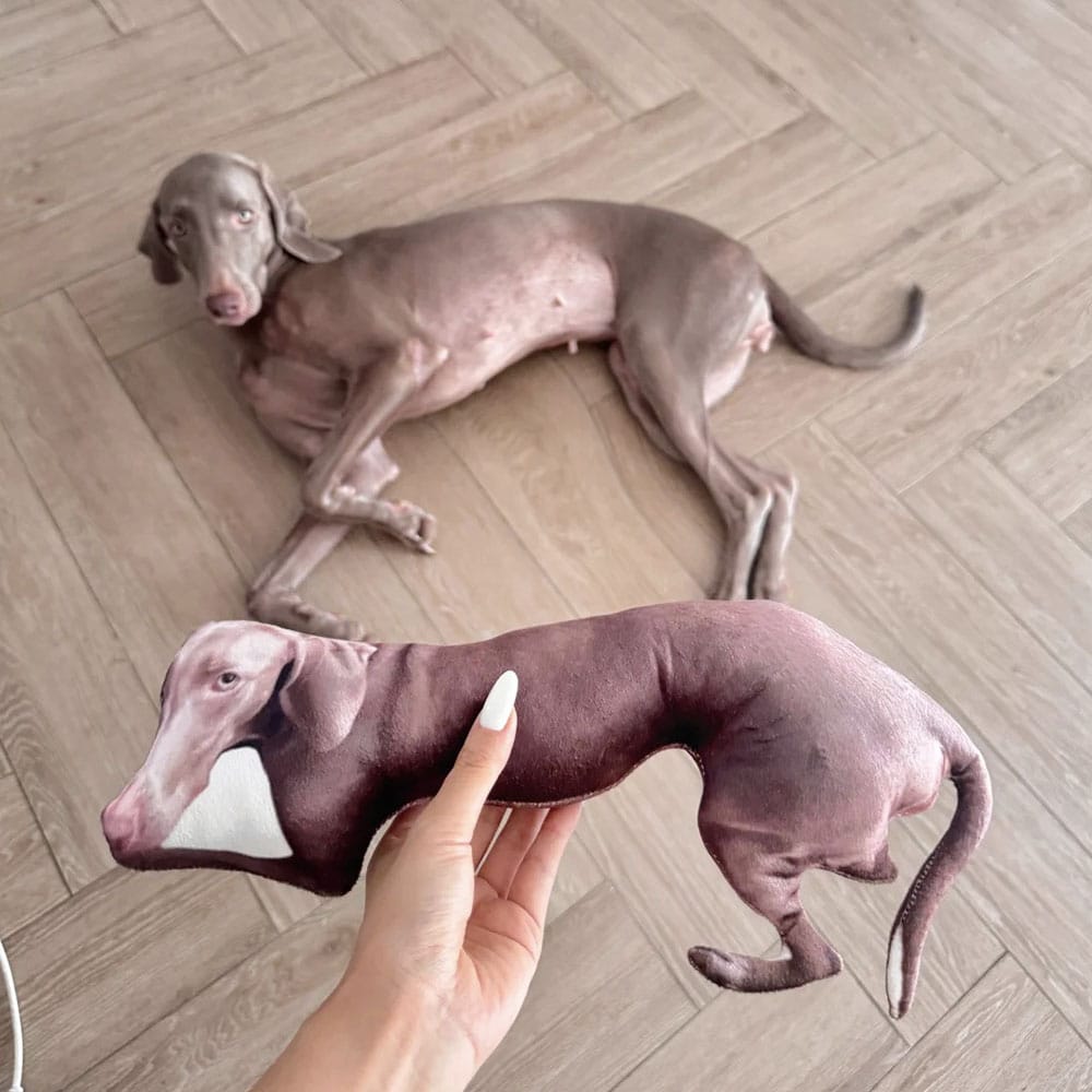 Custom Ugly Pet Pillow From Photo