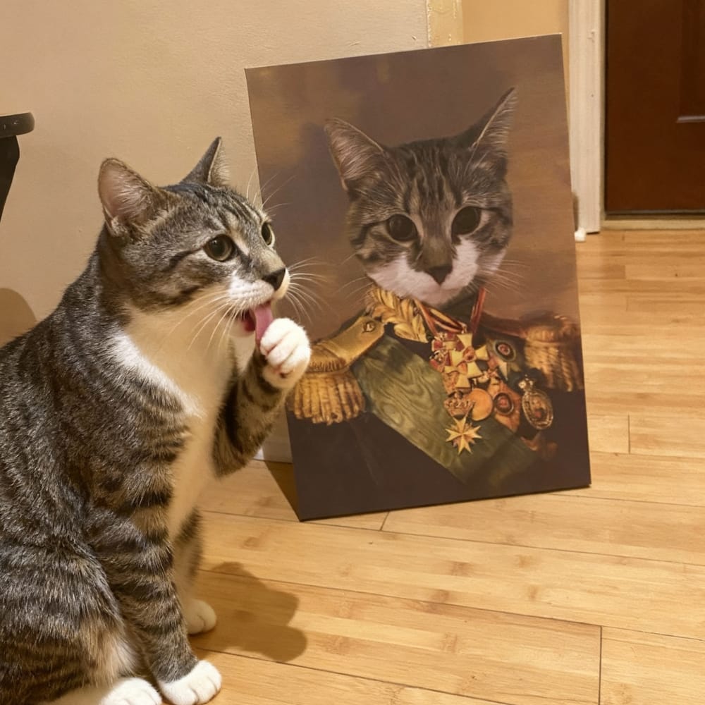 The Colonel - Custom Renaissance Pet Portrait