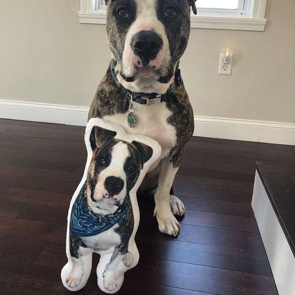 Custom Dog Shaped Pillow