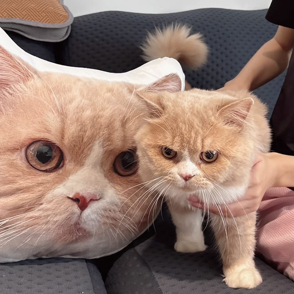 Custom Cat Shaped Pillow