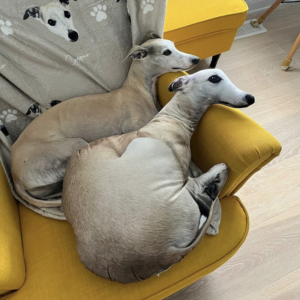 Custom Ugly Pet Pillow From Photo