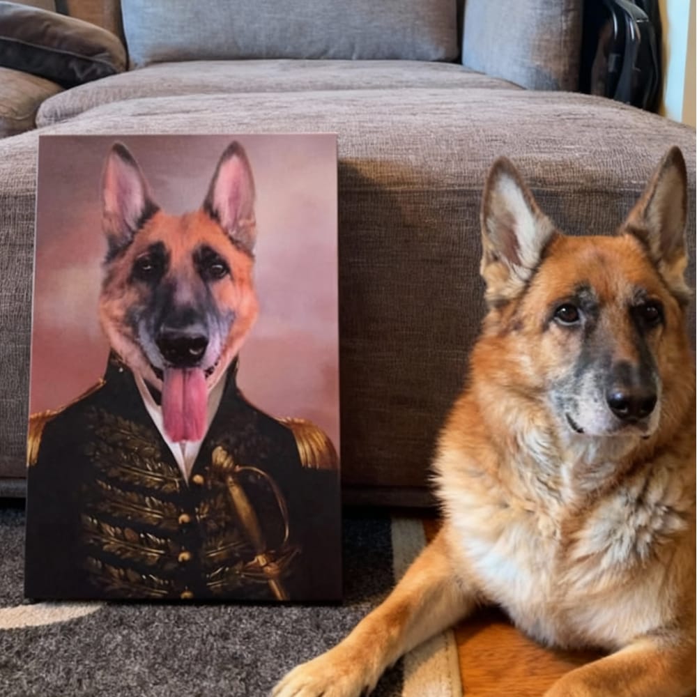 The General - Custom Renaissance Pet Portrait