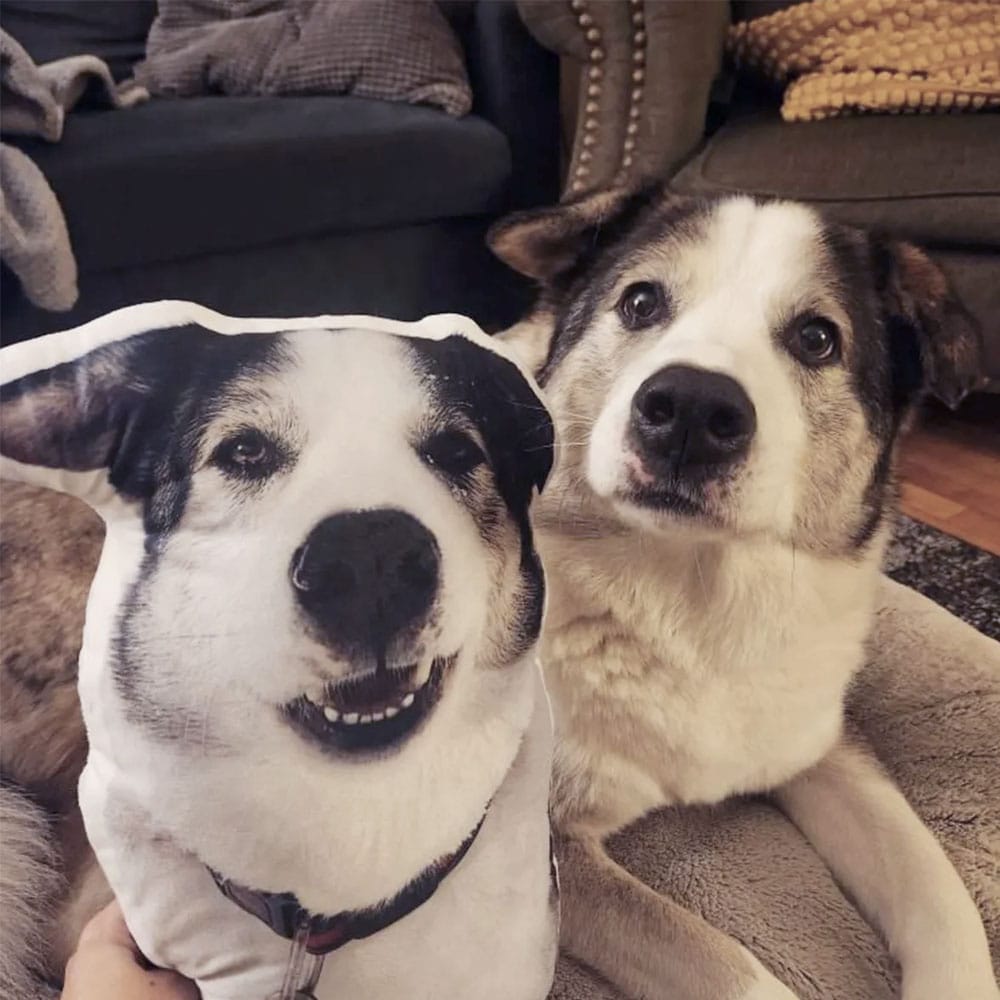 Custom Dog Shaped Pillow