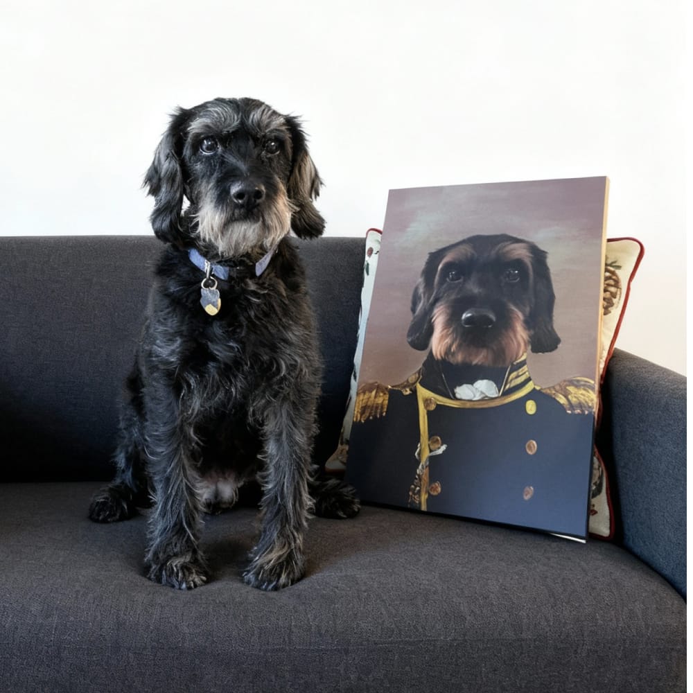 The Admiral - Custom Renaissance Pet Portrait