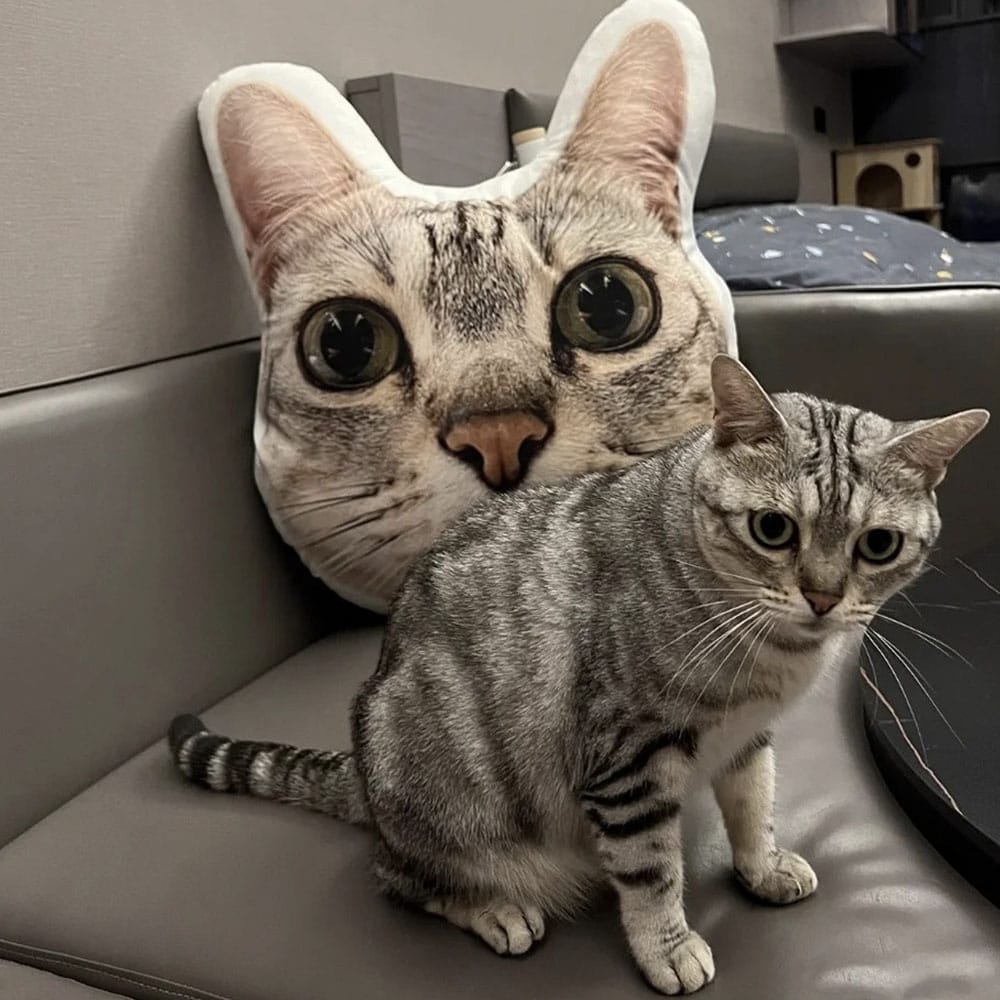 Custom Cat Shaped Pillow