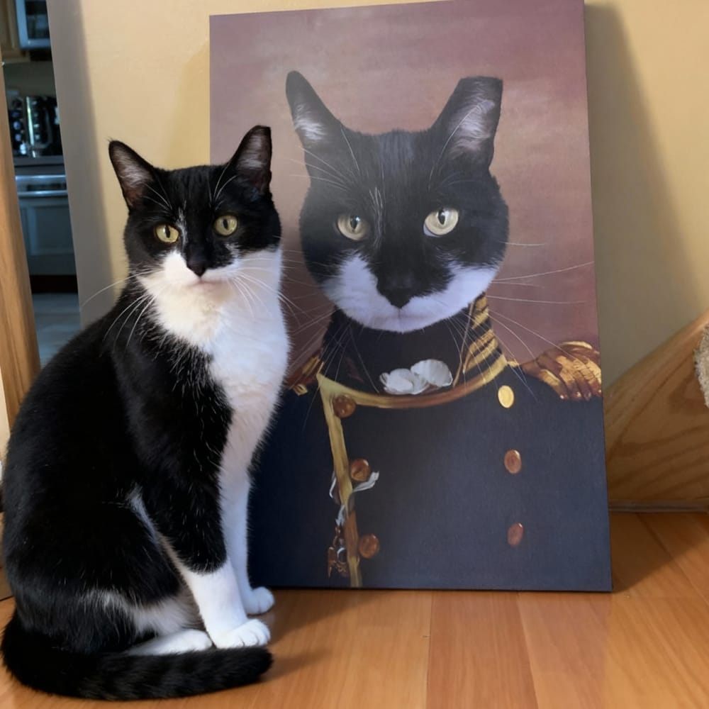 The Admiral - Custom Renaissance Pet Portrait