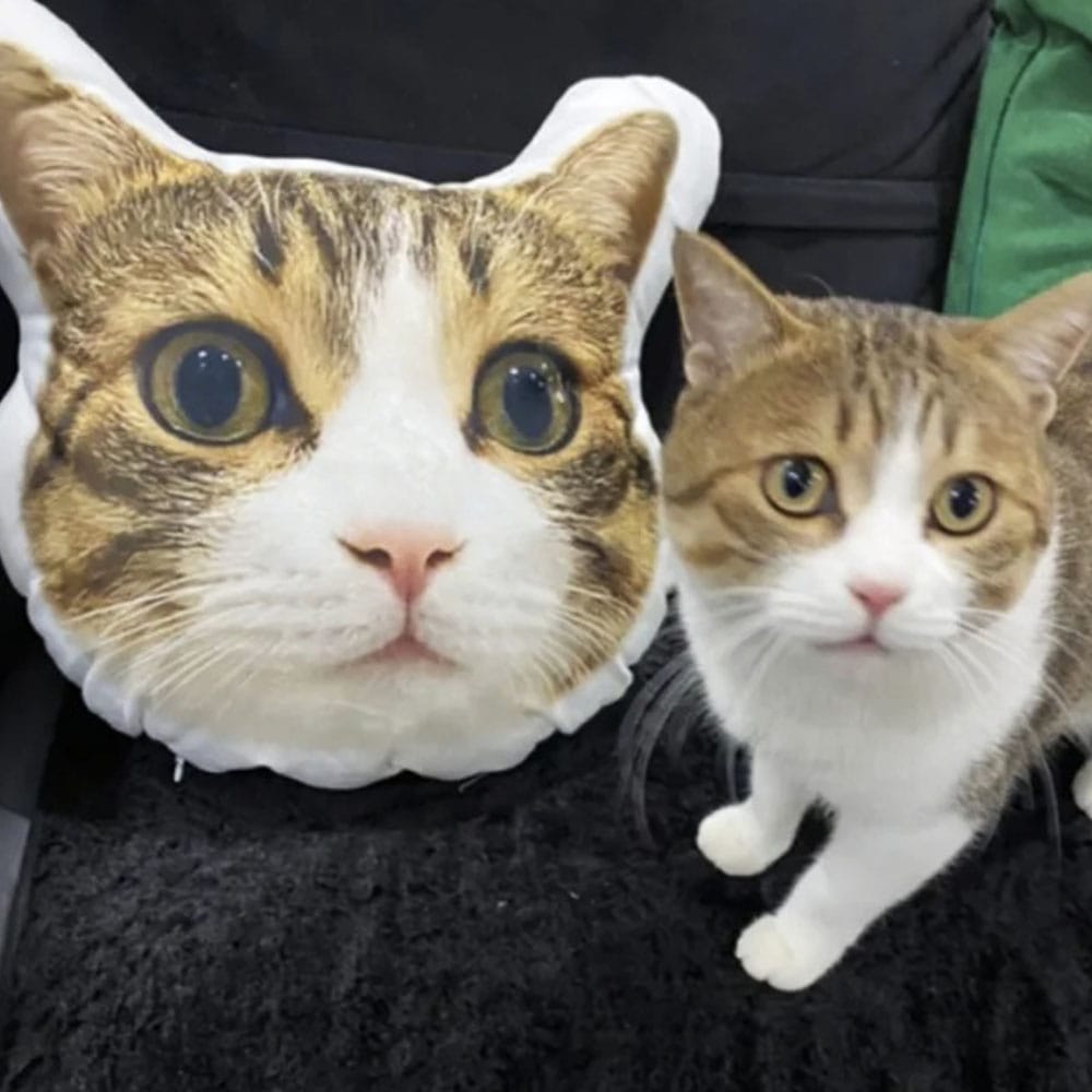 Custom Cat Shaped Memorial Pillow for Pet Owners from Pet Picture