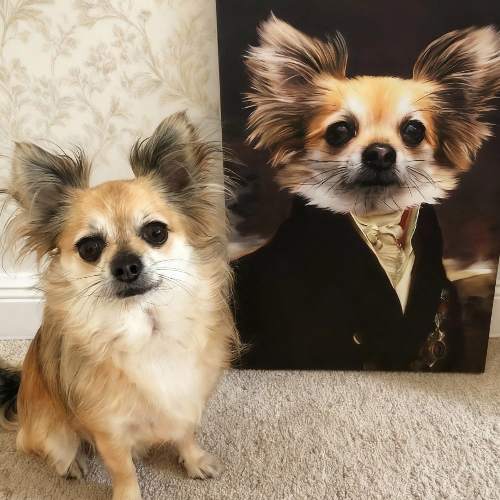 The Count - Custom Renaissance Pet Portrait