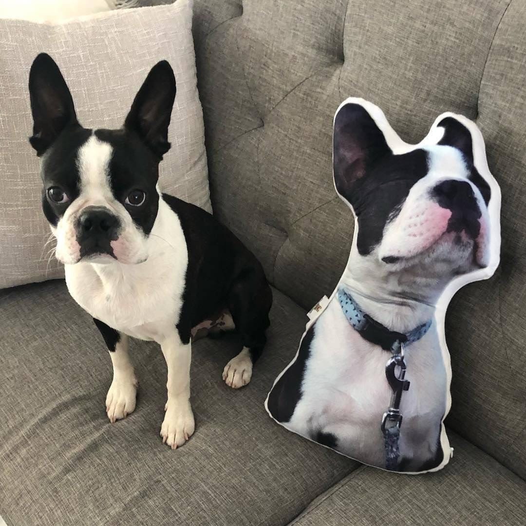 Custom Dog Shaped Pillow