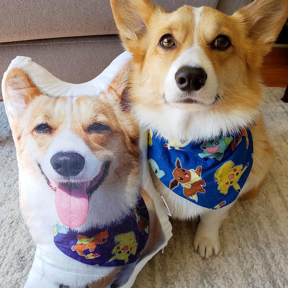 Custom Dog Shaped Memorial Pillow for Pet Owners from Pet Picture