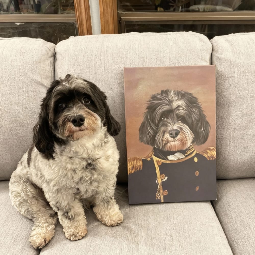 The Admiral - Custom Renaissance Pet Portrait