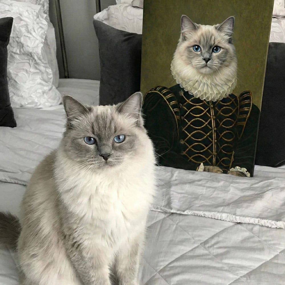 Real cat sitting on a bed next to a decorative pillow with a cat in Renaissance clothing.