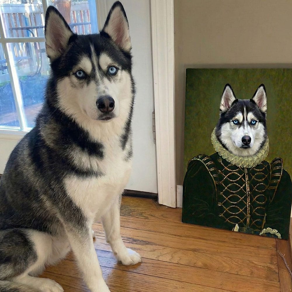 Realistic portrait of a husky dog with a green background, placed next to a real husky on a wooden floor.