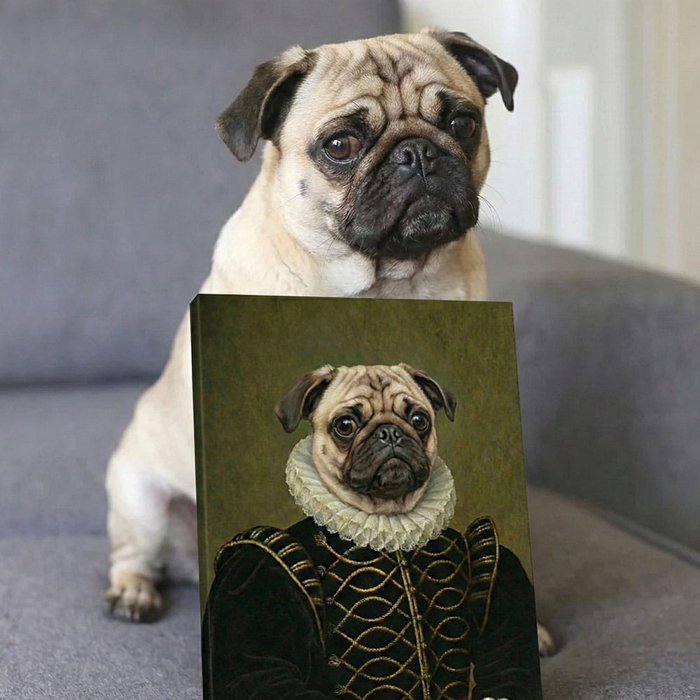 Pug dog standing next to a portrait of itself in regal attire on a gray couch.