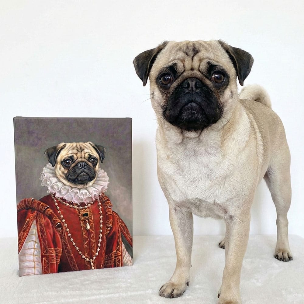 Pug dog standing next to a portrait of a pug in historical attire on a white background