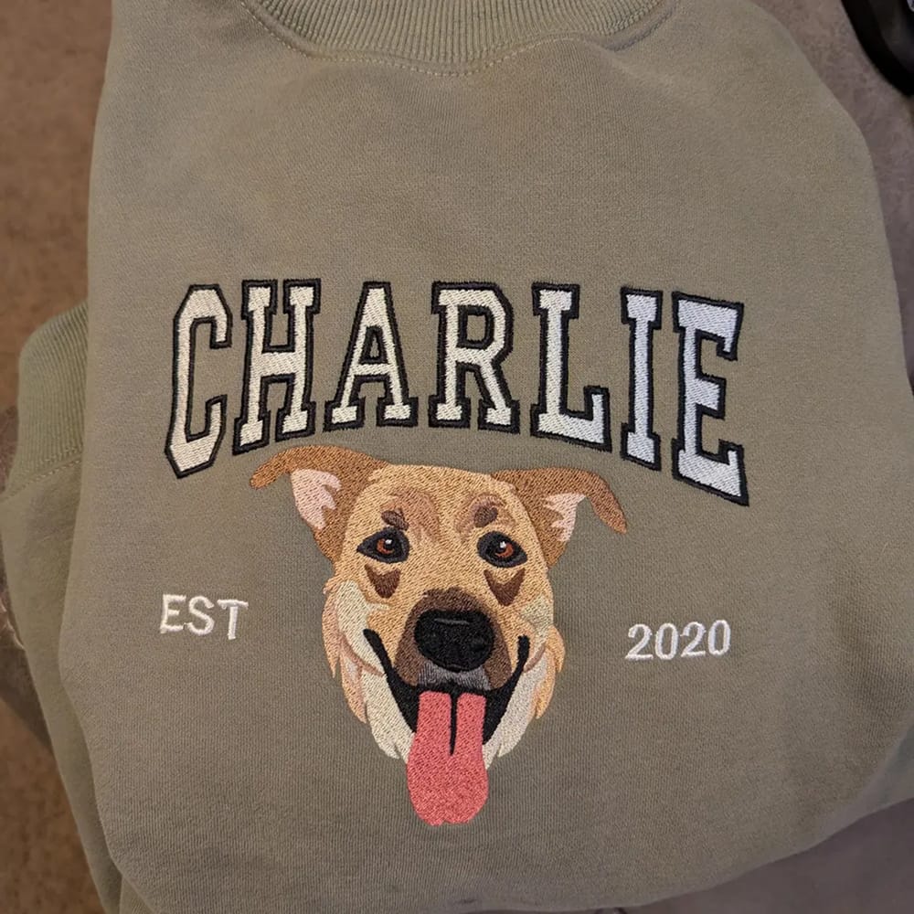 Varsity Style Embroidered Pet Sweatshirt