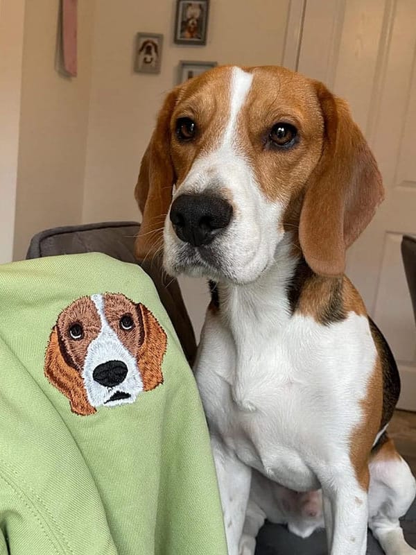A custom sweatshirt featuring a detailed embroidered pet portrait.