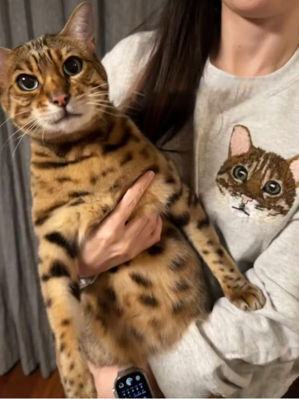 A custom sweatshirt featuring a detailed embroidered pet portrait.