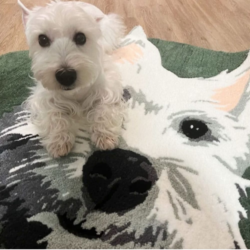 A handmade custom tufted rug designed to look like a pet's portrait.