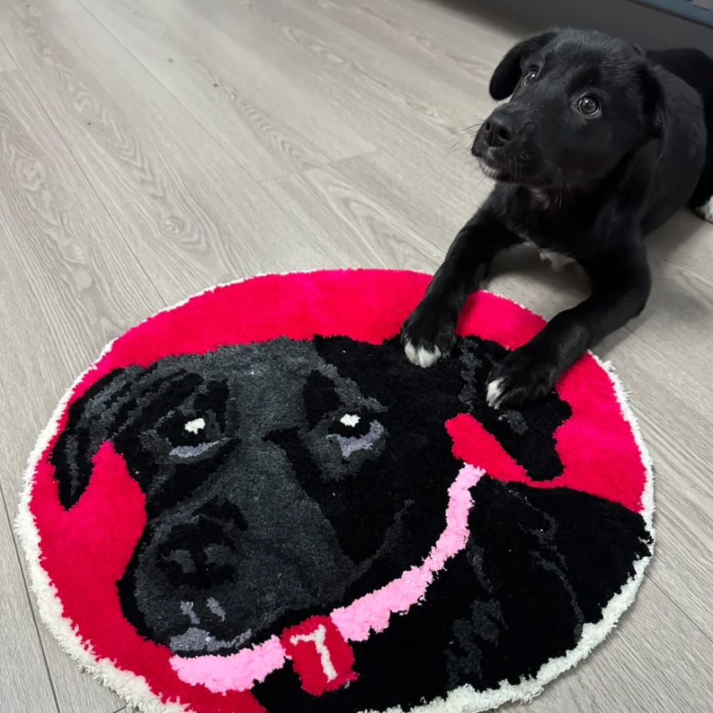 A handmade custom tufted rug designed to look like a pet's portrait.