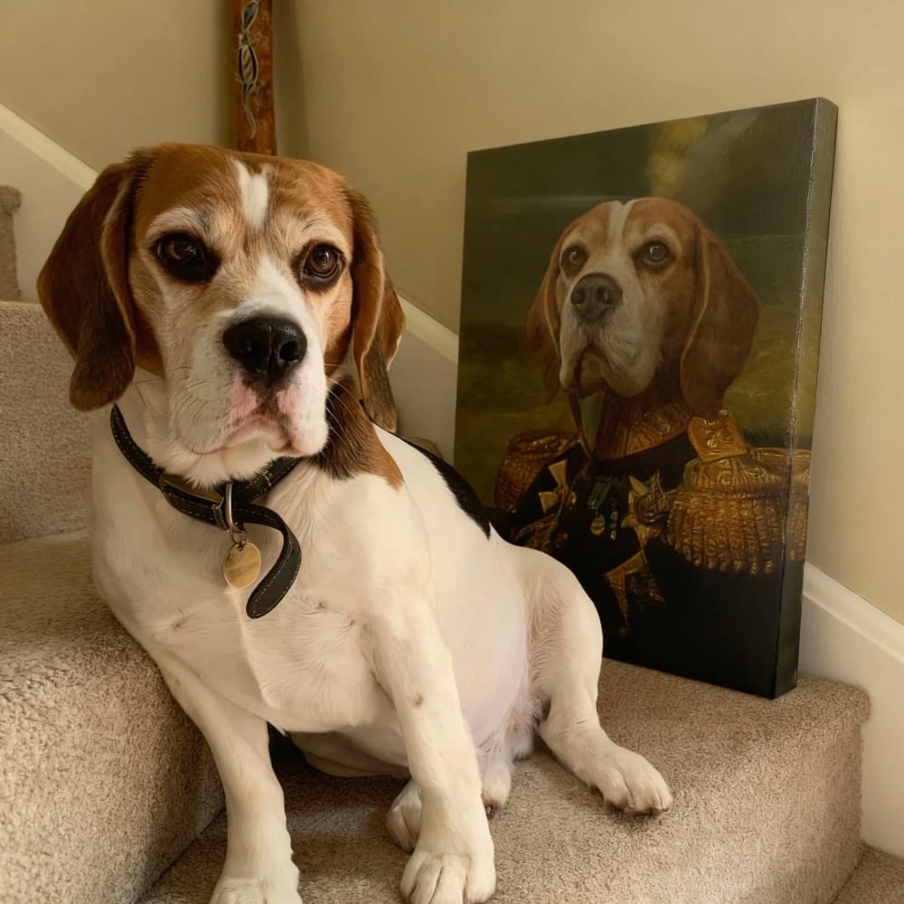 A Beagle dog sitting on stairs next to its custom renaissance pet portrait canvas as 'The Veteran'.