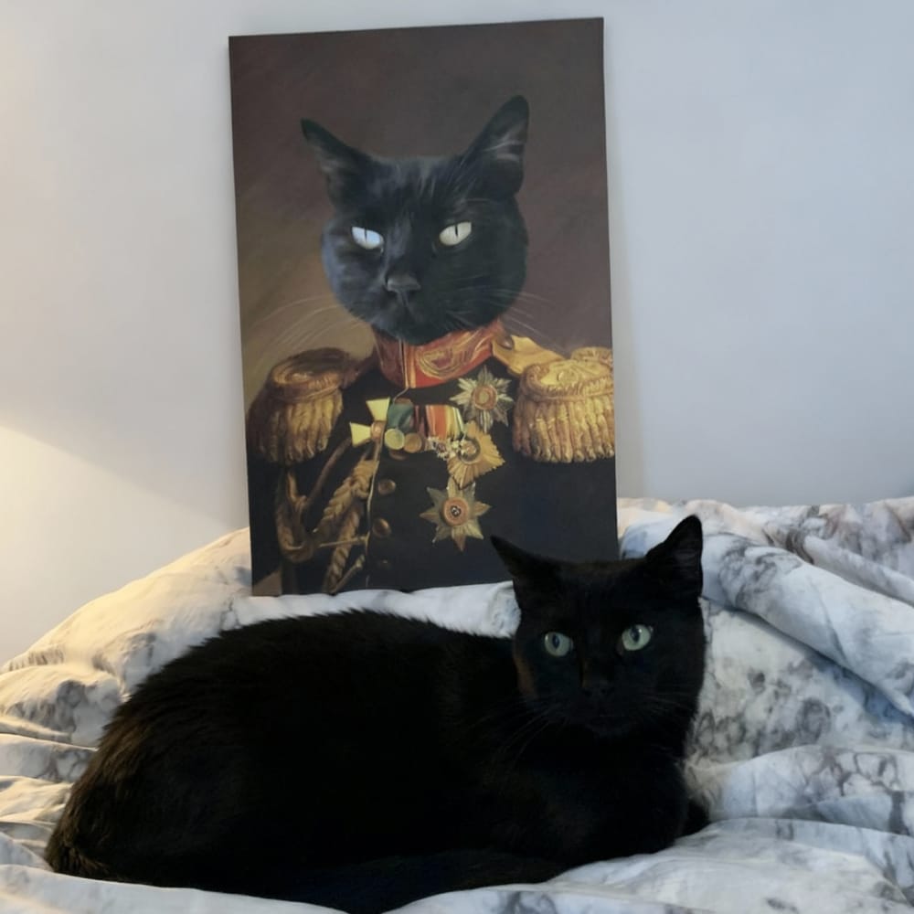 A black cat sitting on a bed in front of its custom renaissance pet portrait canvas as 'The Veteran'.