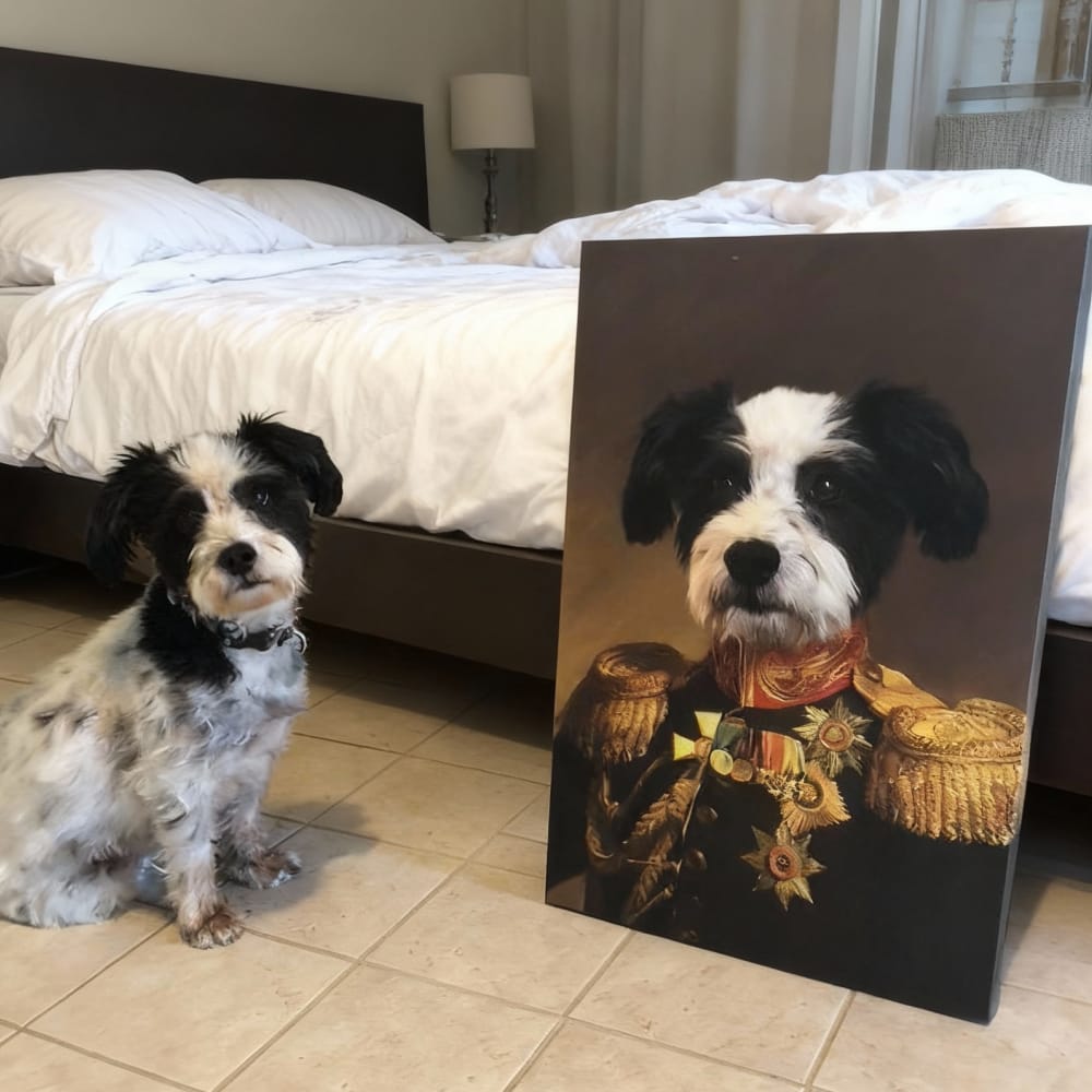 A black and white dog sitting in a bedroom next to its custom renaissance pet portrait canvas as 'The Veteran'.