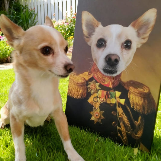 A small tan and white Chihuahua dog sitting on grass next to its custom renaissance pet portrait canvas as 'The Veteran'.
