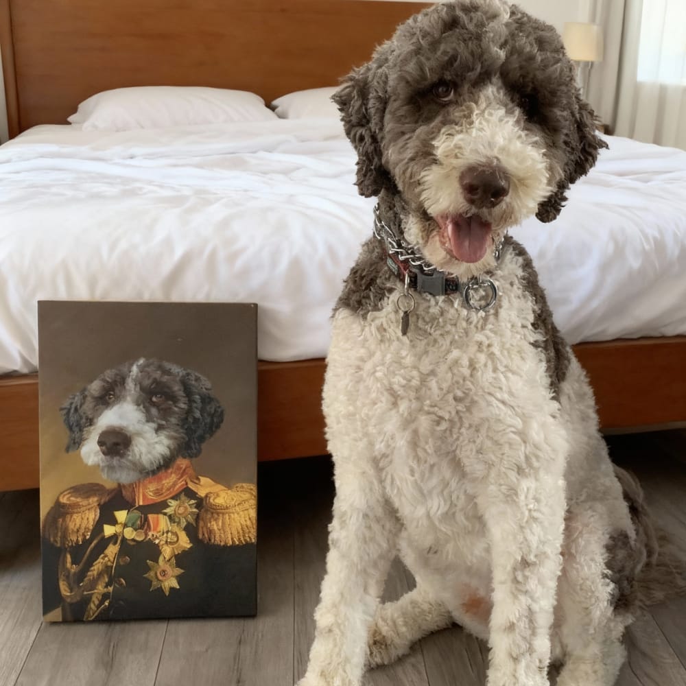 A brown and white curly-haired dog sitting in a bedroom next to its custom renaissance pet portrait canvas as 'The Veteran'.