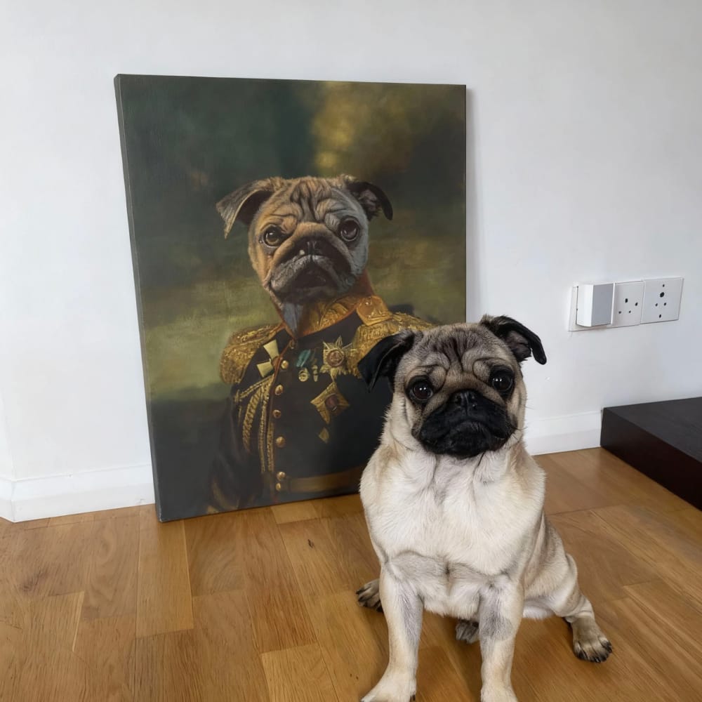 A Pug dog sitting on the floor next to its custom renaissance pet portrait canvas as 'The Veteran'.