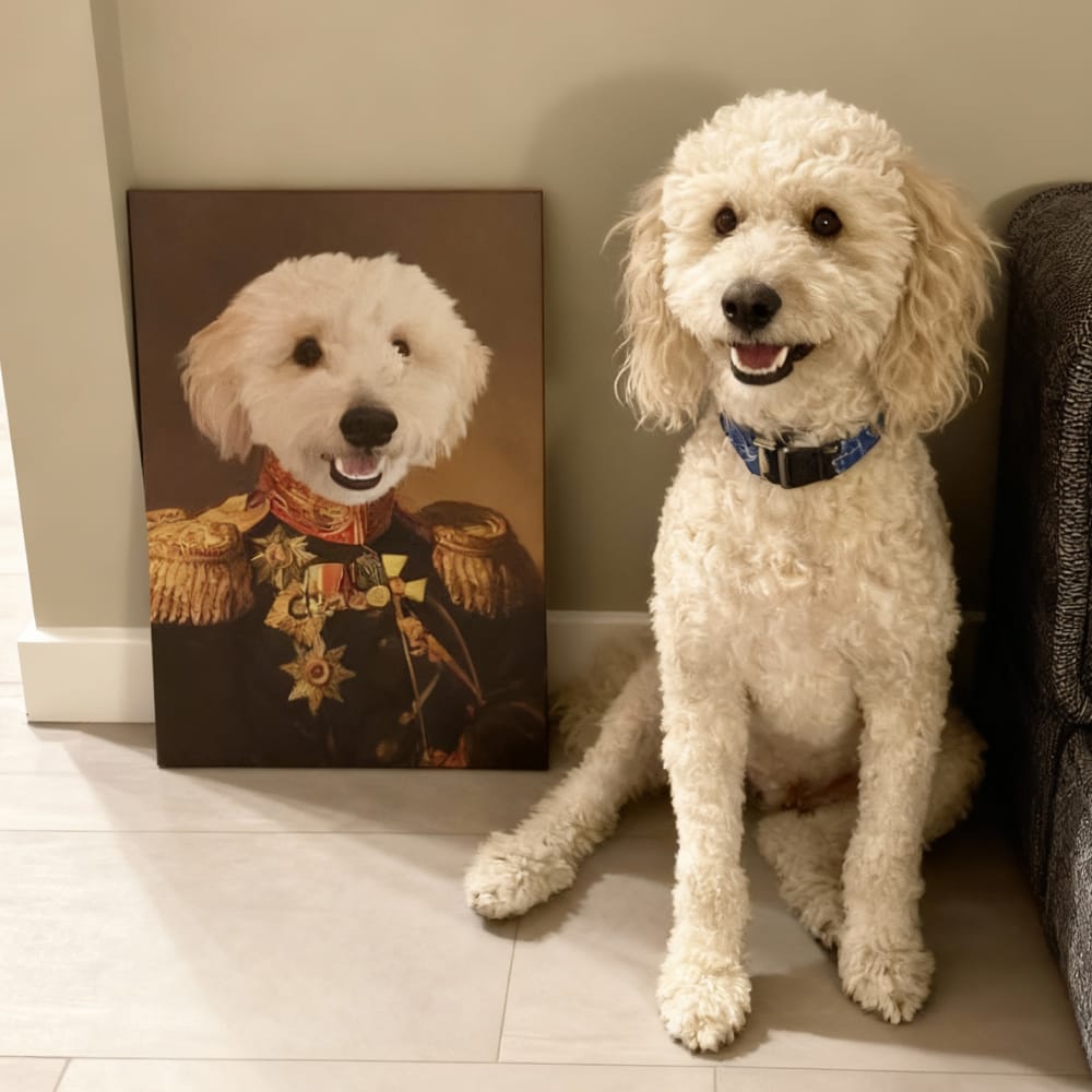 A white Poodle mix dog sitting next to its custom renaissance pet portrait canvas as 'The Veteran'.