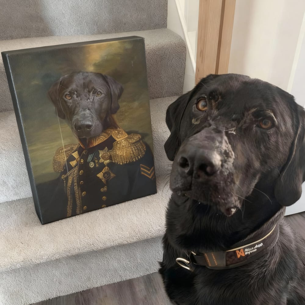 Custom renaissance dog portrait showing a dog's head on 'The Veteran' historical uniform.